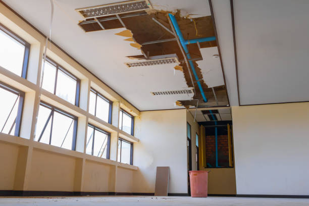 Trusted Russiaville, IN Water damage restoration Experts