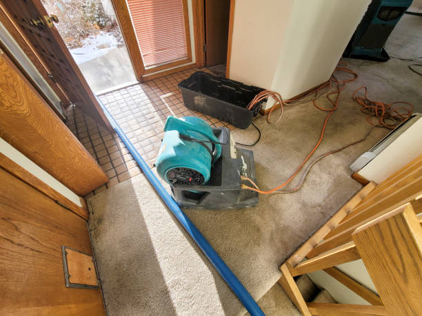 Best Professional water damage repair  in Russiaville, IN