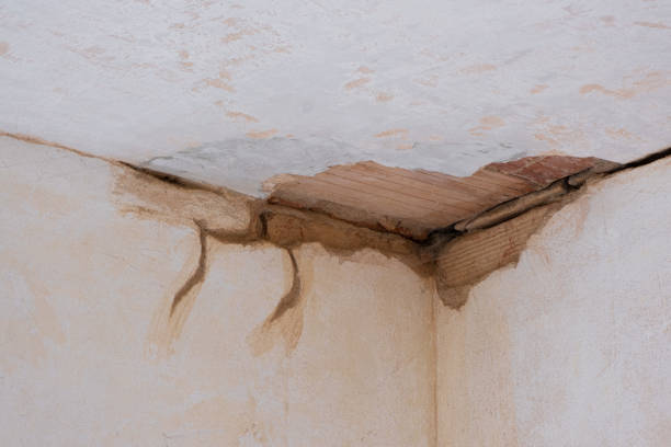 Best Local water damage restoration  in Russiaville, IN