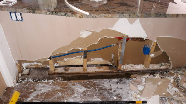 Best Flood damage cleanup  in Russiaville, IN